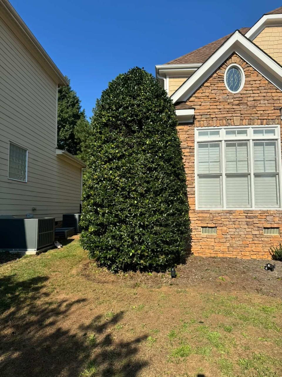 Premium Sod Installation